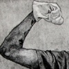 Muscles