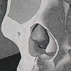 Self Portrait With Skull On Shoulder