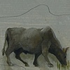 2. Bull