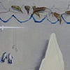 8. Catch and Release