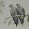 4. Paired