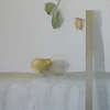 19. Hanging Gardens