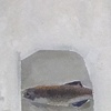 14. Overwintering (I)