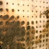 * April 25, 2008* (detail)