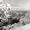 *Canyon Snow*