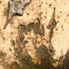 *April 25, 2008* (detail)