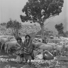 *The Shepherdess*