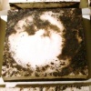 *February 23, 2008 II* (detail)