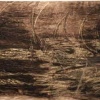 * Marshland Noir*