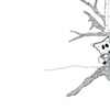 treehouse