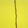 Missing (detail 2)