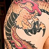 dragon body