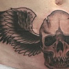 skull and wings on the belly