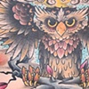 Paul's hooter