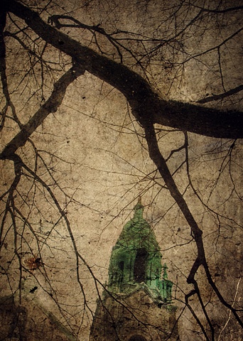 The Veins in your Heart - Photo Art Print