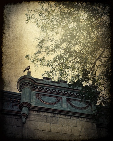 Summer's Onlooker - Photo Art Print by The Lonely Pixel Photography in Montreal, Canada