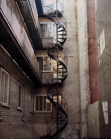 Serpent City - Photo Art Print in Montreal