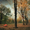 Fall's Crescendo
