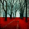 The Crimson Forest