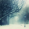 Listen, the Snow is Falling