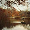 Autumn's Wonder