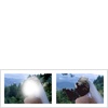 2 Views (#2, J)