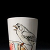 Bird Cup