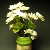 Vases