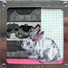 Rabbit Plans