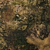 Pond