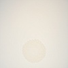 White Dwarf