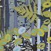 Ferns in Forest