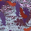 Blue Mica Composition with Sea Algae Forms