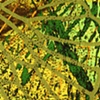 cicada wing with mica: yellow