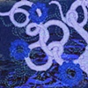 mica with protozoa forms: blue - purple
