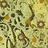 Shoreline: with Protozoa Forms
