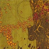 green mica compisition with reds and yellows - detail