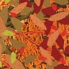 Orange Mica Composition with Cicada Wings