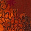 Autumn Embers
