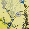 alliums dancing - detail