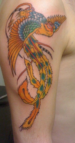 Bird