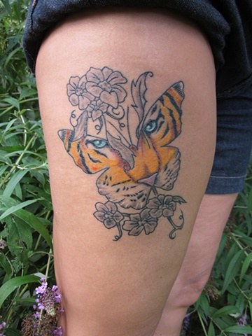 Tiger Butterfly