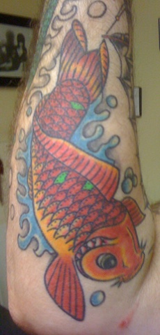 Koi