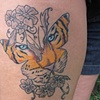 Tiger Butterfly