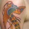 Bird
