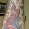 Koi