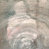 Conjunctiva