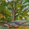Boulders on Hilltop