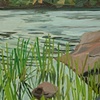 Lakeshore Boulders