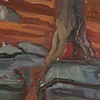 Rock Field Study